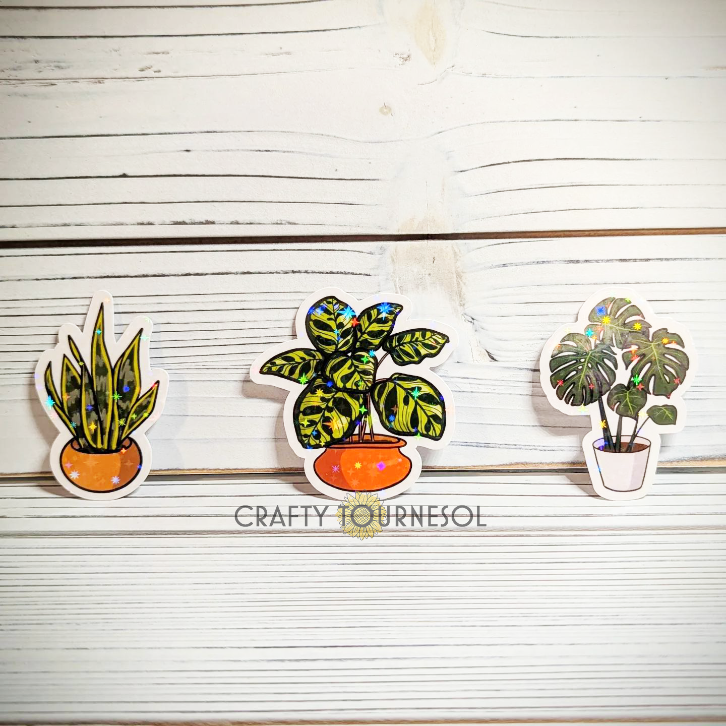 Houseplant Holographic Vinyl Sticker Trio 2" or 3"