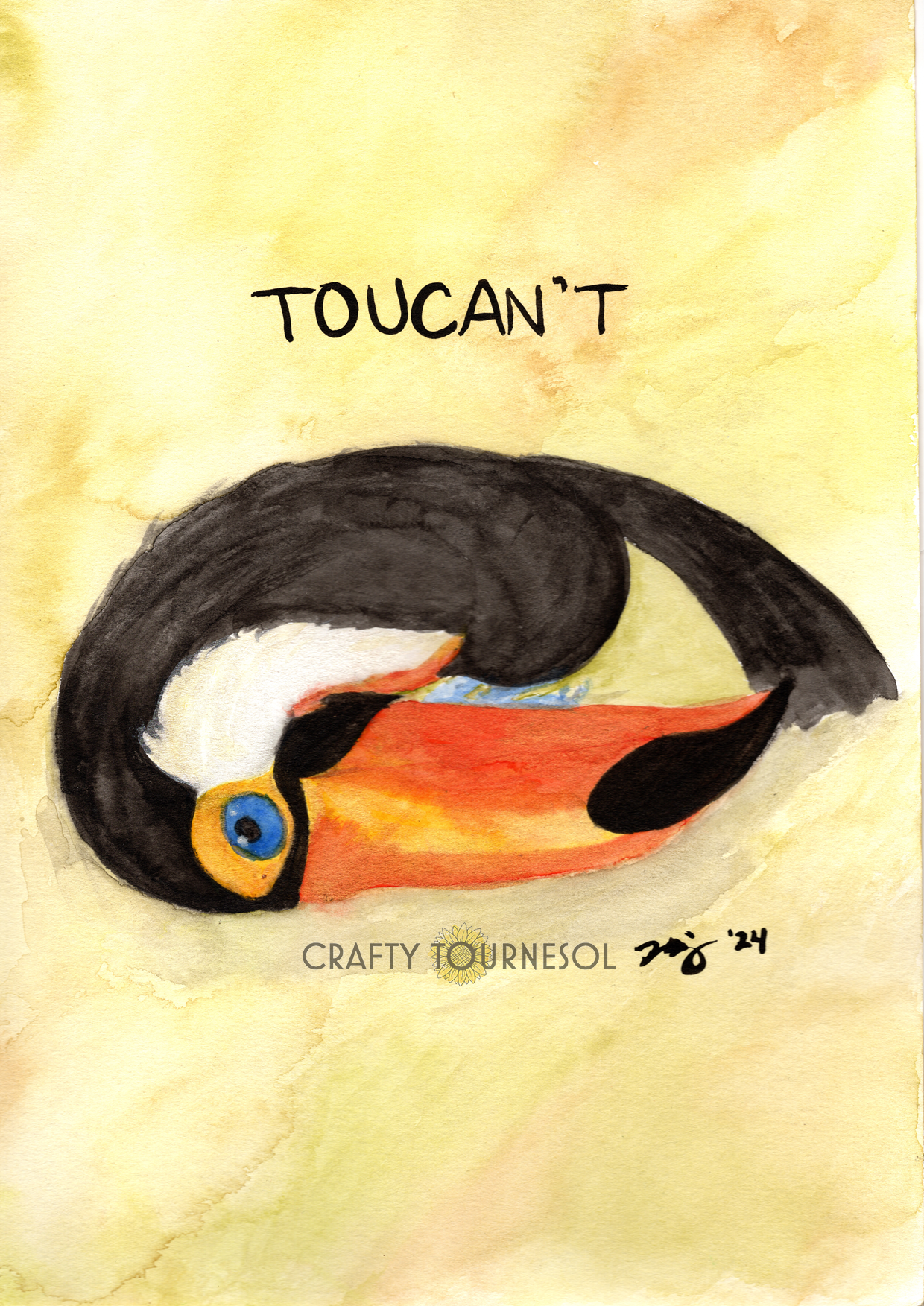 Toucan't